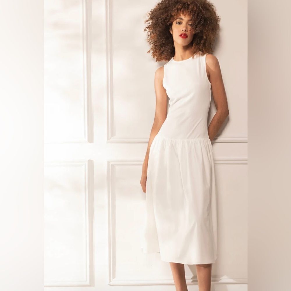 NWT Alexa Admor Drop Waist Dress